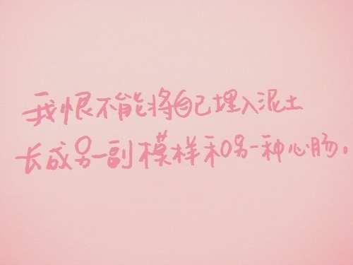 那些未讲完的故事那就算了吧非主流文字图片