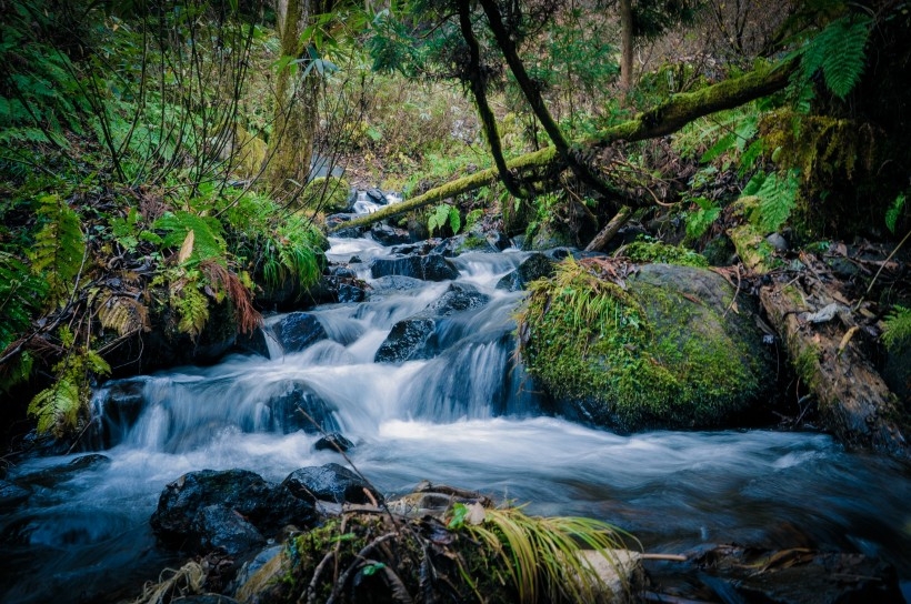 山间涓涓流淌的溪水风景图片