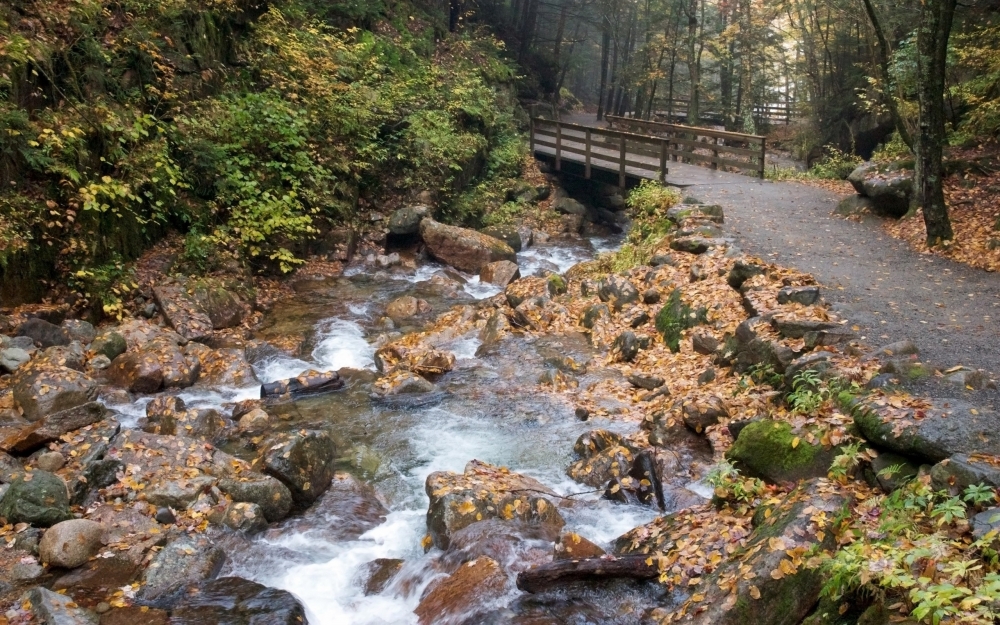 森林山间小溪流水风景图片壁纸