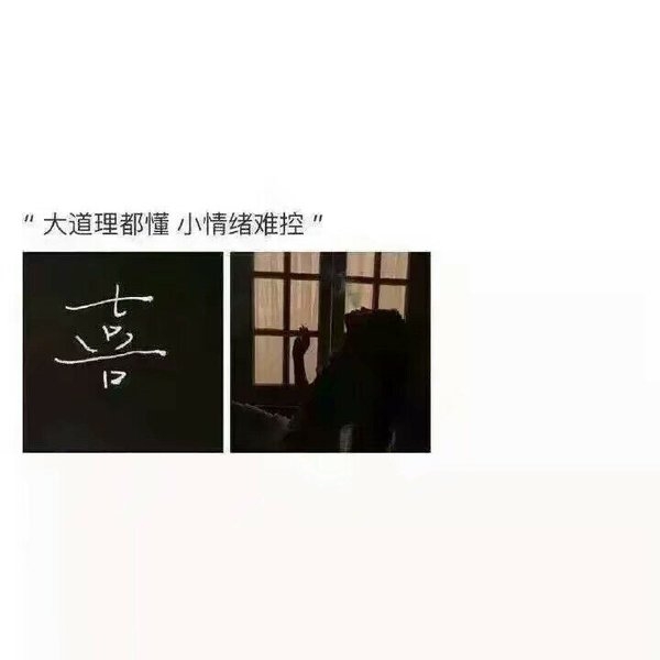 世间万物唯情不死即为长生非主流文字图片