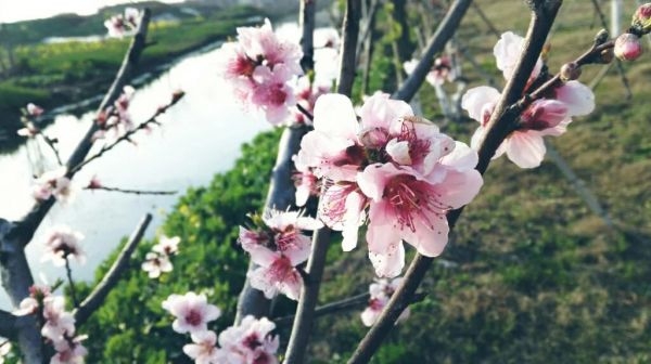摄影师手下的唯美小清新图片
