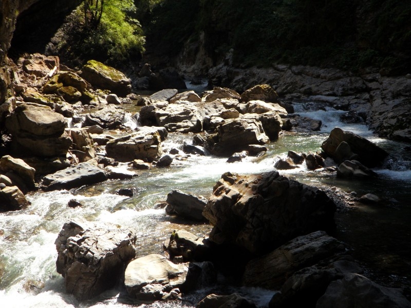 山间涓涓流淌的溪水风景图片