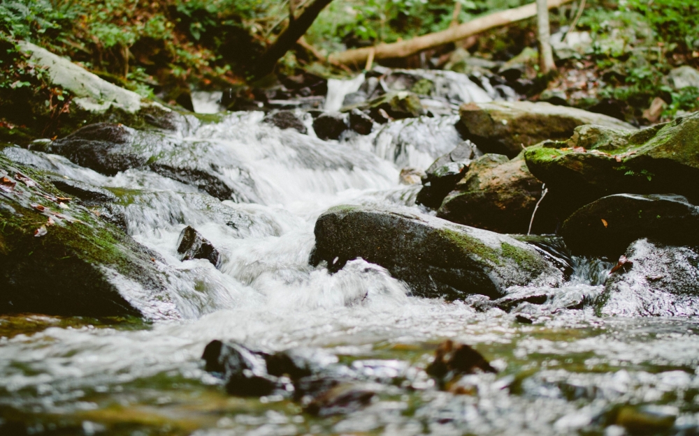 森林山间小溪流水风景图片壁纸