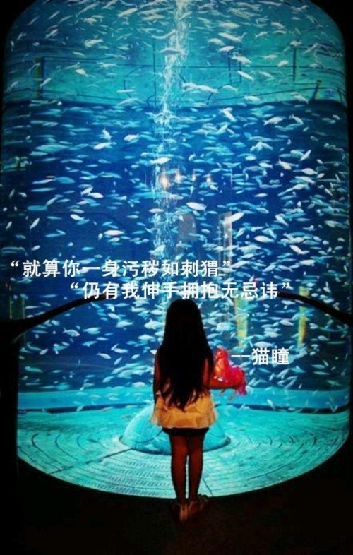 我身后空无一人怎敢轻易倒下非主流励志文章图片