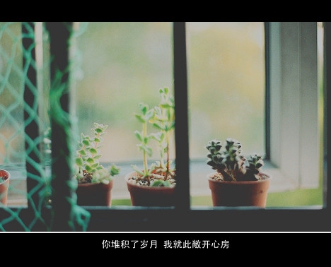 去爱吧就像从来没伤过小清新意境图片