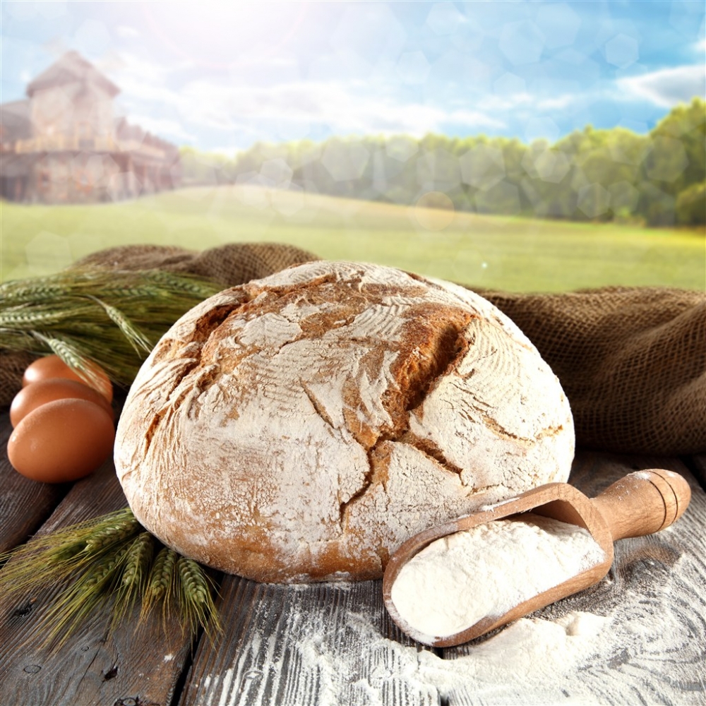 面包面粉与鸡蛋麦穗美食食材图片
