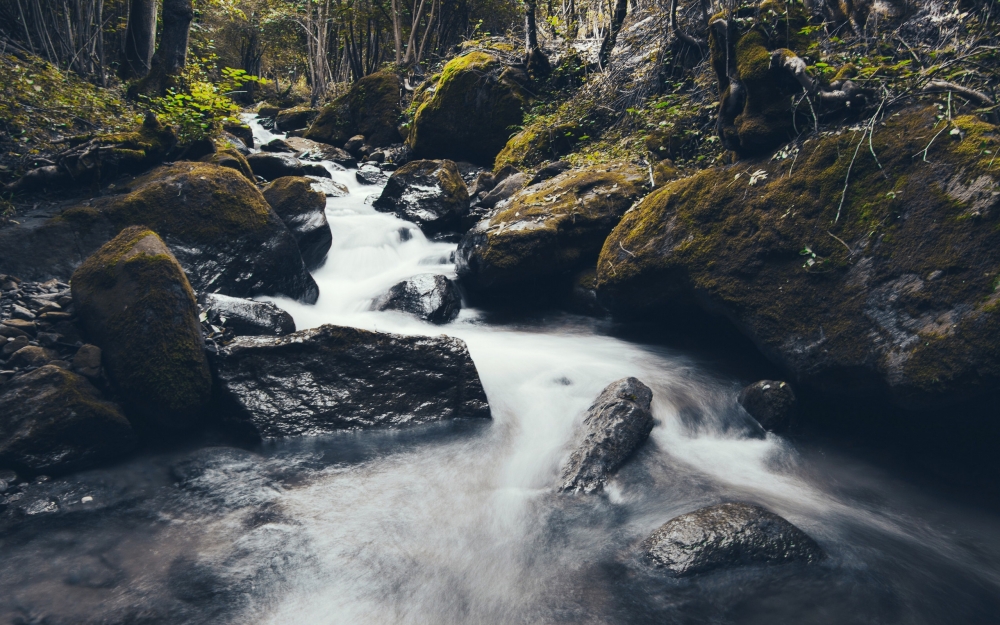 森林山间小溪流水风景图片壁纸