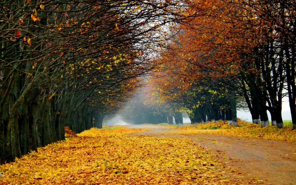 美丽的秋天自然景色高清图片电脑桌面壁纸下载