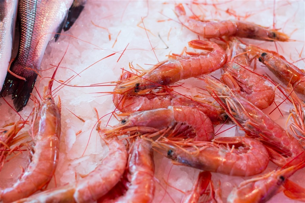 海鲜市场里的美味海鲜食材图片