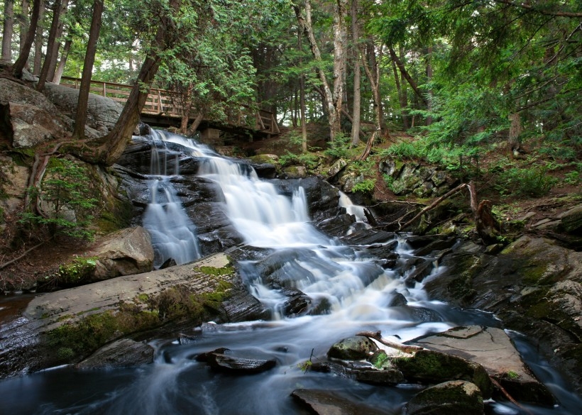 山间涓涓流淌的溪水风景图片