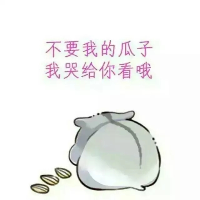 大哥哥吃瓜子吗可爱仓鼠图片