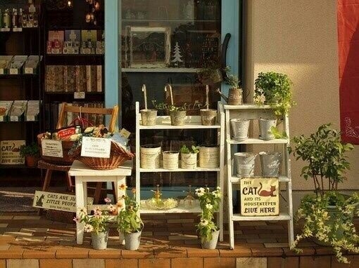 欧式小清新风格店铺图片