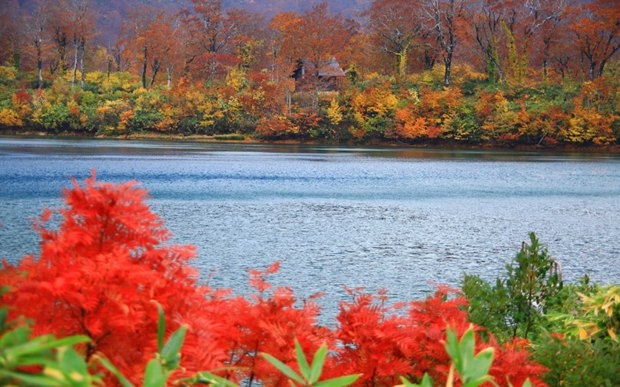 秋天的湖边唯美枫叶意境图片