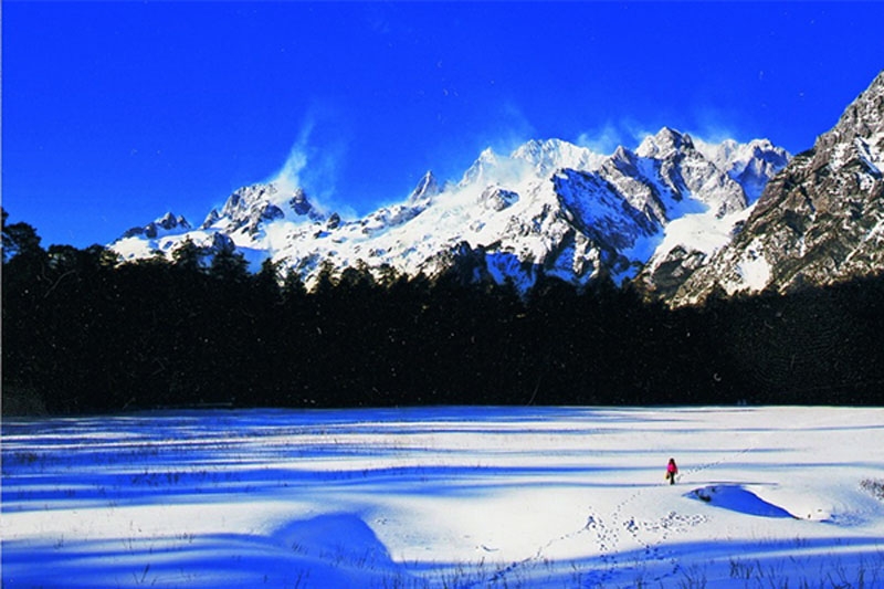 玉龙雪山云杉坪风景图片