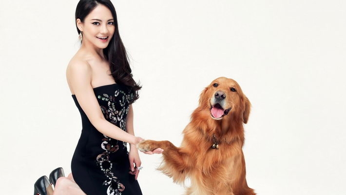 美女明星樊蕊写真壁纸大全