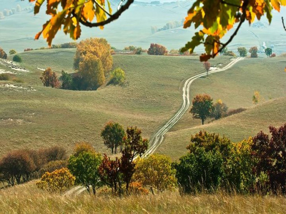 秋季的坝上草原漂亮风景图片