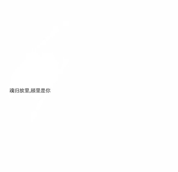 原谅我这一生一厢情愿自作多情情感文字图片
