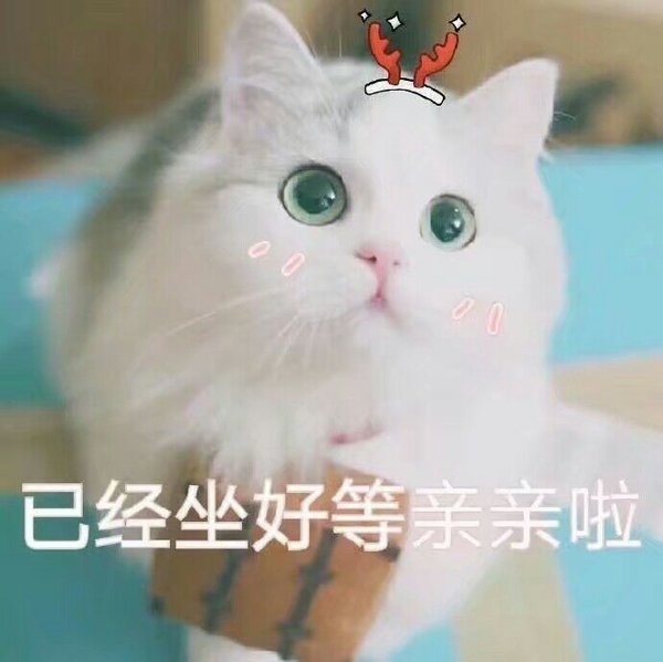 可爱的猫咪撒娇专用表情