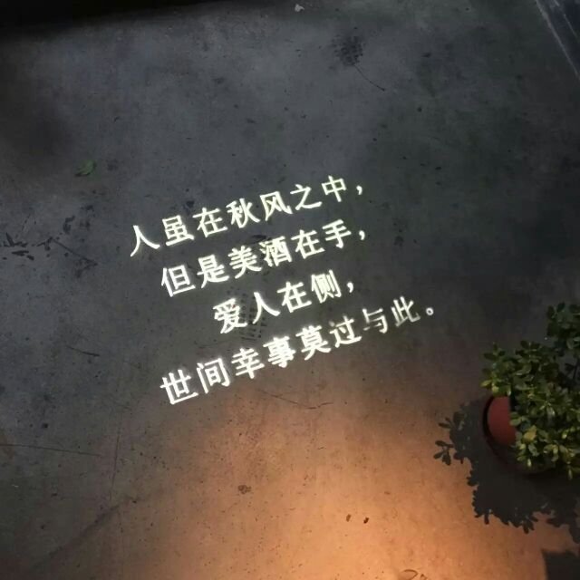 这个社会单身已经会被歧视了搞笑文字图片