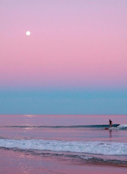 巴哈马哈勃岛的粉色沙滩风景图片