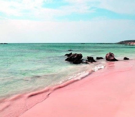 巴哈马哈勃岛的粉色沙滩风景图片