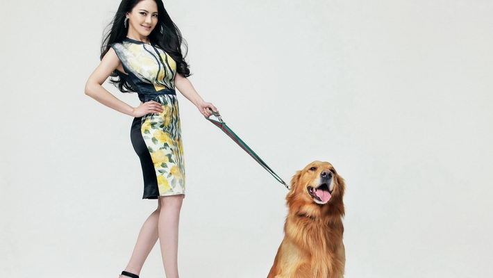 美女明星樊蕊写真壁纸大全