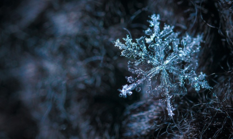 唯美好看的护眼雪花壁纸图片