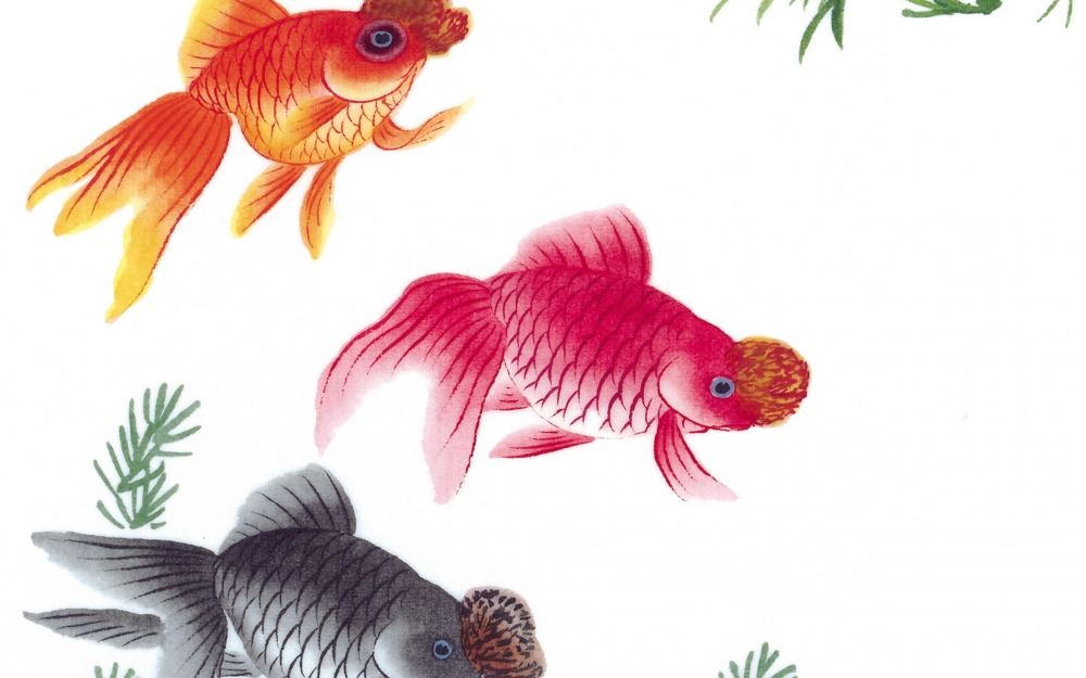 金鱼水墨插画图片电脑壁纸