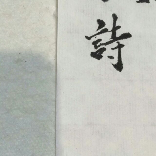 这个社会单身已经会被歧视了搞笑文字图片