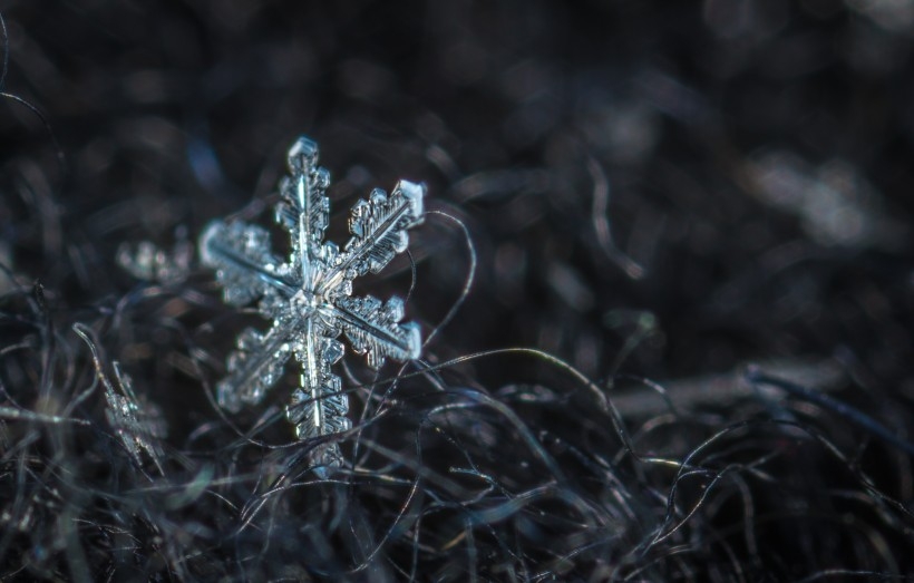 唯美好看的护眼雪花壁纸图片