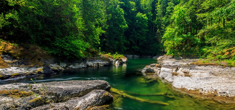 森林小溪河流自然风景电脑壁纸