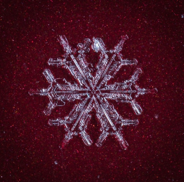 唯美好看的护眼雪花壁纸图片