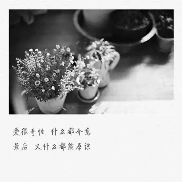 我有风里雨里的暴脾气可我最疼的还是你感情文字图片