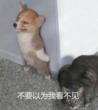 那些年老师的口头禅有多少人被老师这样欺骗过爆笑图片