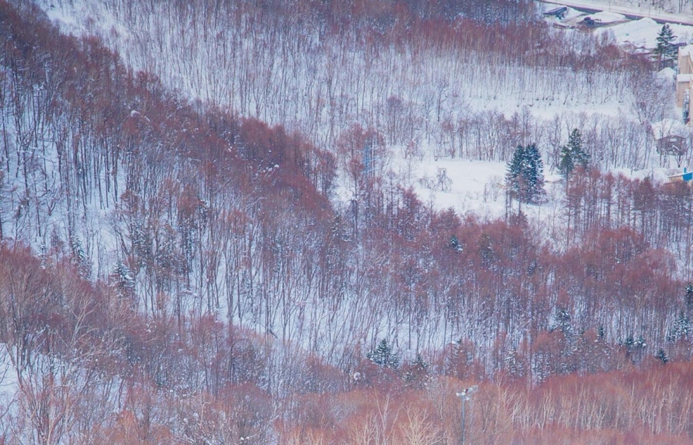 秀丽的冰天雪地风景图片壁纸下载