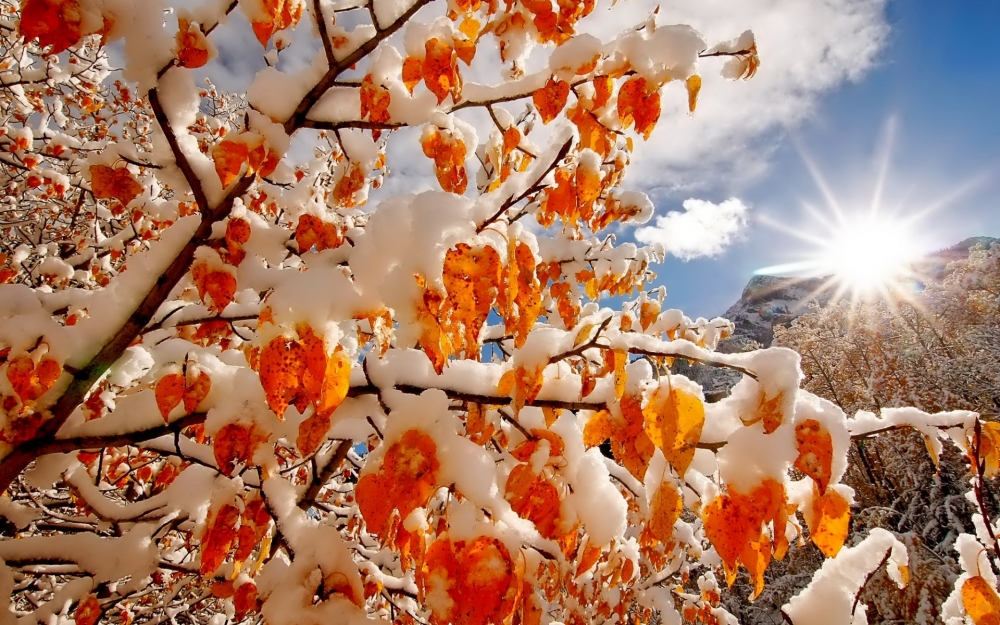 唯美雪景高清风景壁纸图片下载