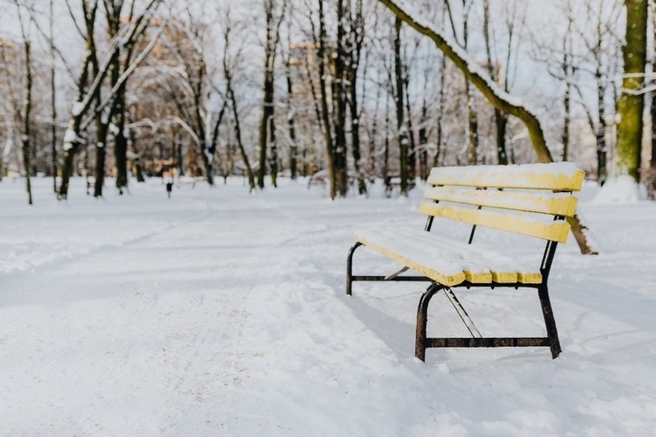 大雪天后的公园雪地风景图片