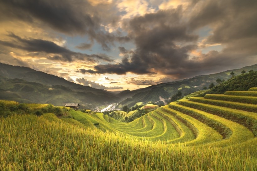 丘陵上的绿水梯田风景图片
