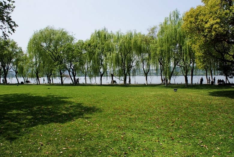 西湖大型公园柳浪闻莺风景壁纸