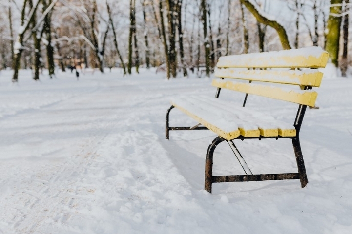 大雪天后的公园雪地风景图片