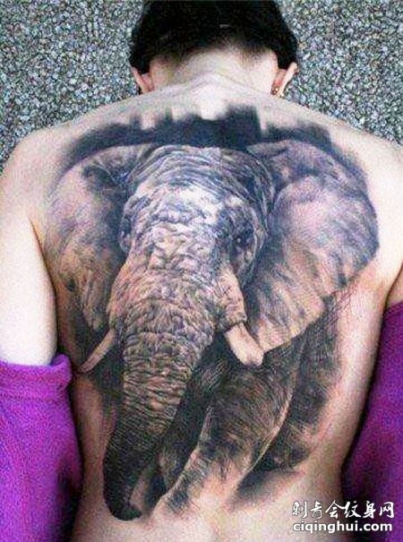 男生后背的个性大象纹身图片