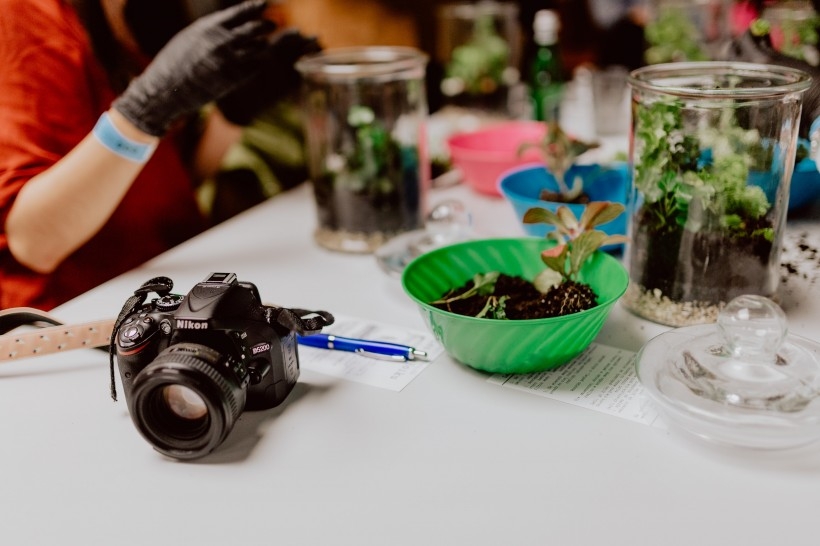 手工盆栽植物图片