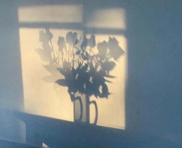 夕阳下的花瓶唯美意境图片