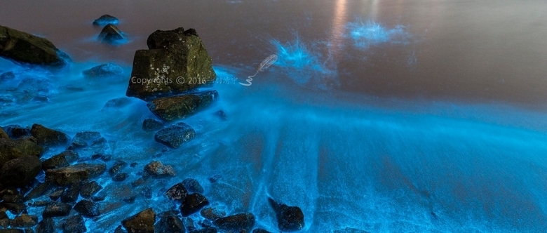 神奇的蓝光海滩唯美意境图片