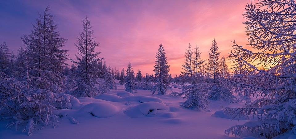 夕阳下大雪后的森林唯美风景壁纸