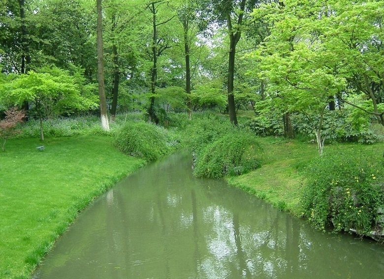 西湖大型公园柳浪闻莺风景壁纸