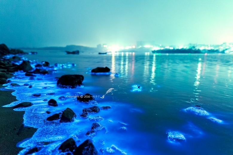 神奇的蓝光海滩唯美意境图片