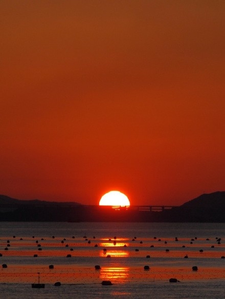 火红的夕阳风景图片