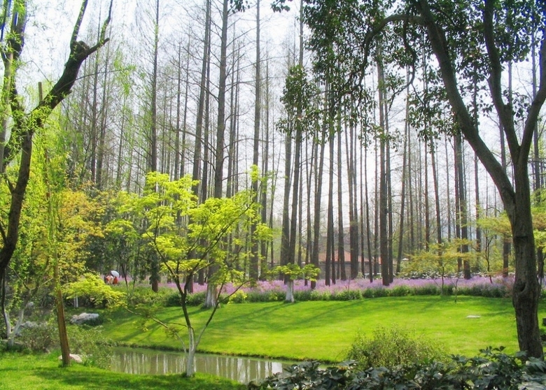 西湖大型公园柳浪闻莺风景壁纸