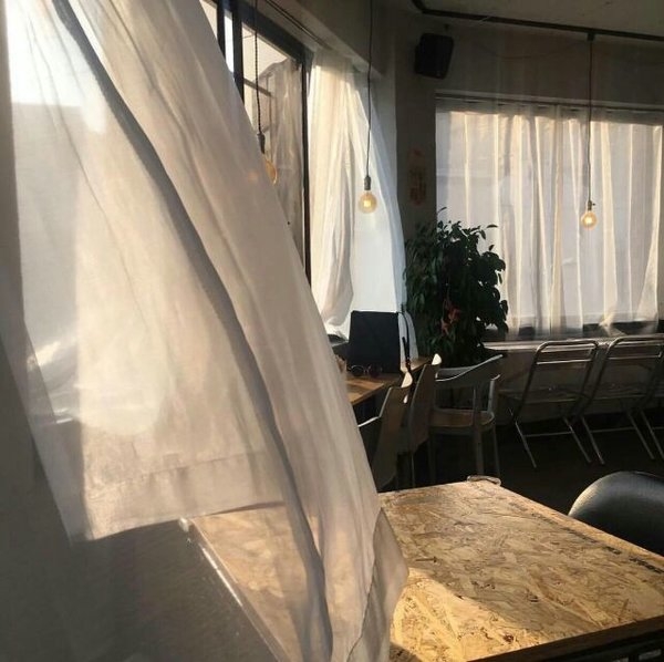 夕阳下的花瓶唯美意境图片